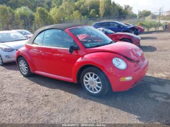  Salvage Volkswagen Beetle