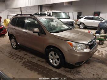  Salvage Subaru Forester