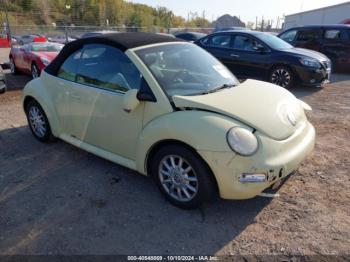  Salvage Volkswagen Beetle