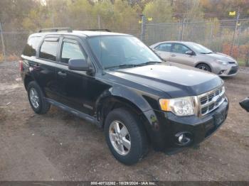  Salvage Ford Escape