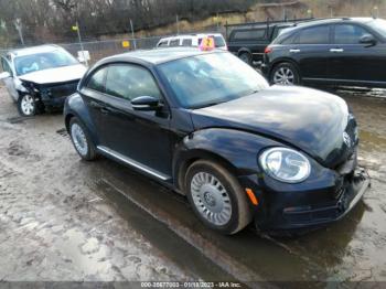  Salvage Volkswagen Beetle