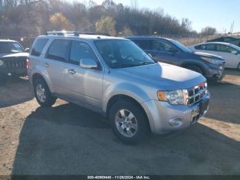  Salvage Ford Escape