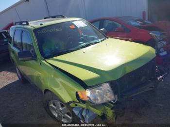  Salvage Ford Escape