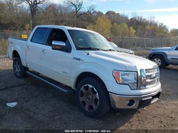  Salvage Ford F-150