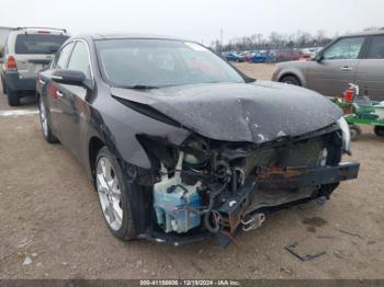  Salvage Nissan Maxima