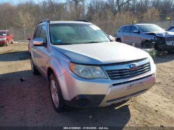  Salvage Subaru Forester