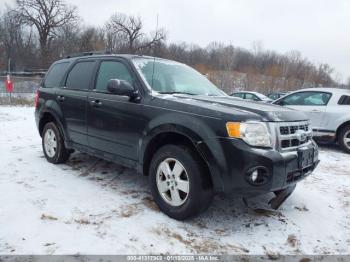  Salvage Ford Escape