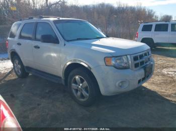  Salvage Ford Escape