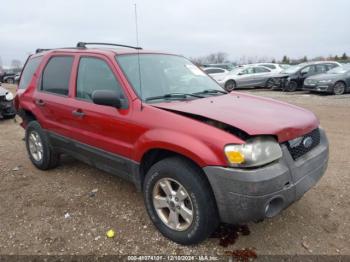  Salvage Ford Escape