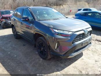  Salvage Toyota RAV4