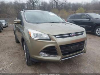  Salvage Ford Escape