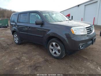  Salvage Honda Pilot