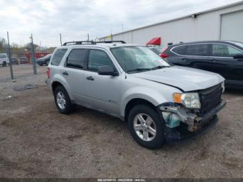  Salvage Ford Escape