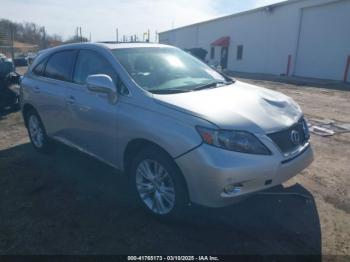  Salvage Lexus RX