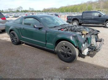  Salvage Ford Mustang
