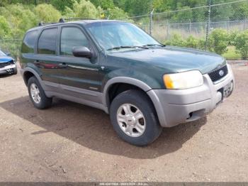  Salvage Ford Escape