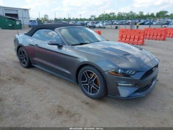  Salvage Ford Mustang