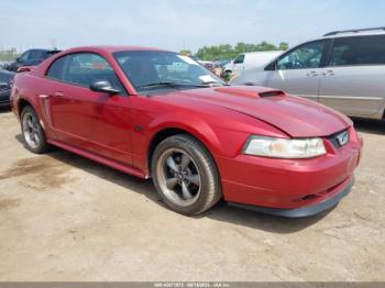  Salvage Ford Mustang