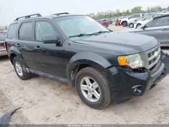  Salvage Ford Escape