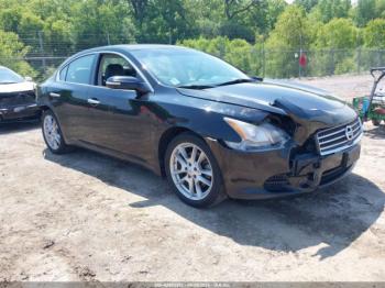  Salvage Nissan Maxima