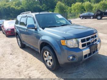  Salvage Ford Escape