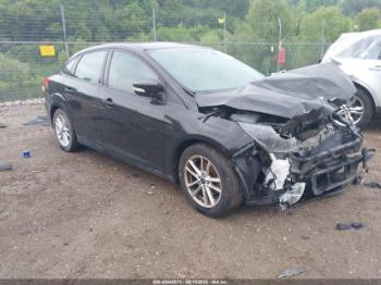  Salvage Ford Focus