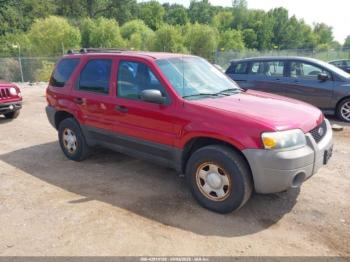  Salvage Ford Escape