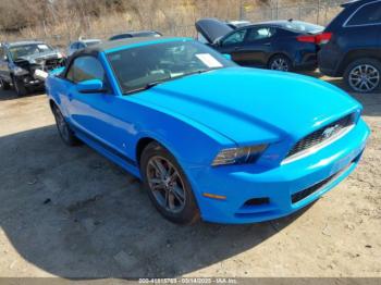  Salvage Ford Mustang