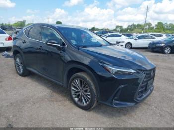  Salvage Lexus NX