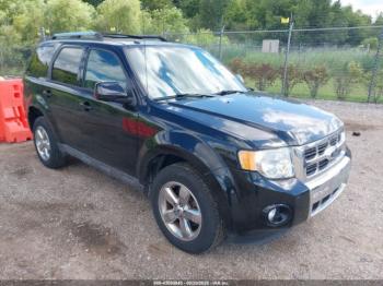  Salvage Ford Escape