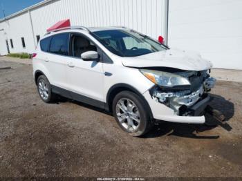  Salvage Ford Escape
