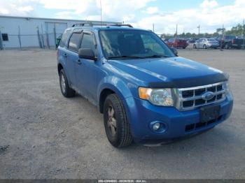  Salvage Ford Escape