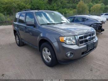  Salvage Ford Escape