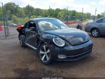 Salvage Volkswagen Beetle
