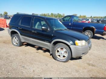  Salvage Ford Escape
