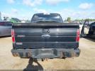 Ford F-150 Fx4 Image 15