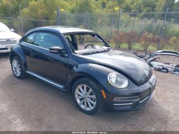  Salvage Volkswagen Beetle