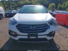Hyundai SANTA FE 2.4l Image 3