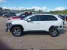 Toyota RAV4 Xle Image 14