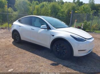  Salvage Tesla Model Y