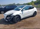 Tesla Model Y Image 6