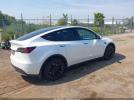 Tesla Model Y Image 15