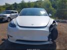 Tesla Model Y Image 8