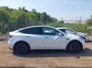 Tesla Model Y Image 14