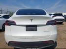 Tesla Model Y Image 7