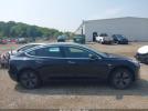 Tesla Model 3 Image 10