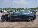 Tesla Model 3 Image 8