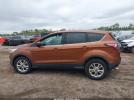 Ford Escape Se Image 13