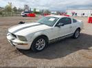 Ford Mustang Image 2