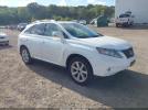 Lexus RX Image 1